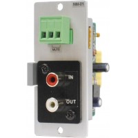 Noise Masking Module